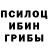 Псилоцибиновые грибы Magic Shrooms Kroni