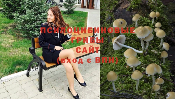 гашишное масло Михайловка