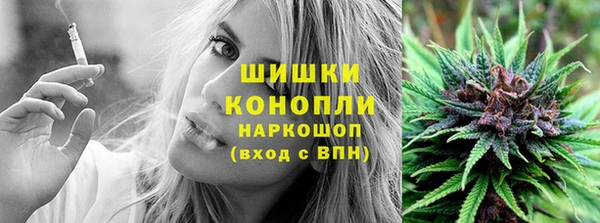 ECSTASY Михайлов