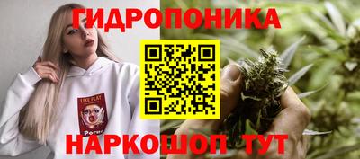 шишки Ставрополь