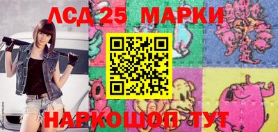 шишки Ставрополь
