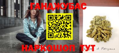 шишки Ставрополь