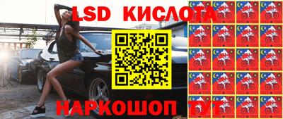 шишки Ставрополь